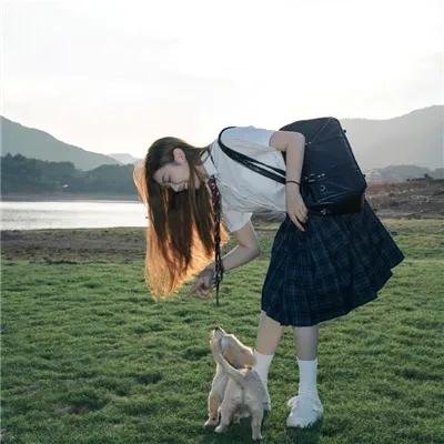 历劫蔷薇
